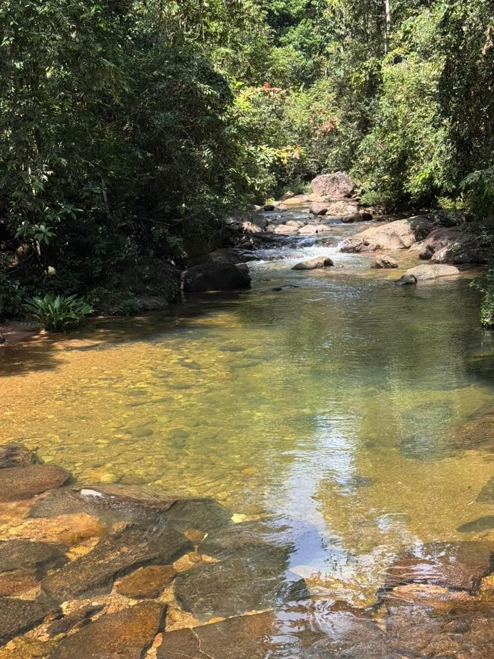 Crystal Clear River Rock Pools